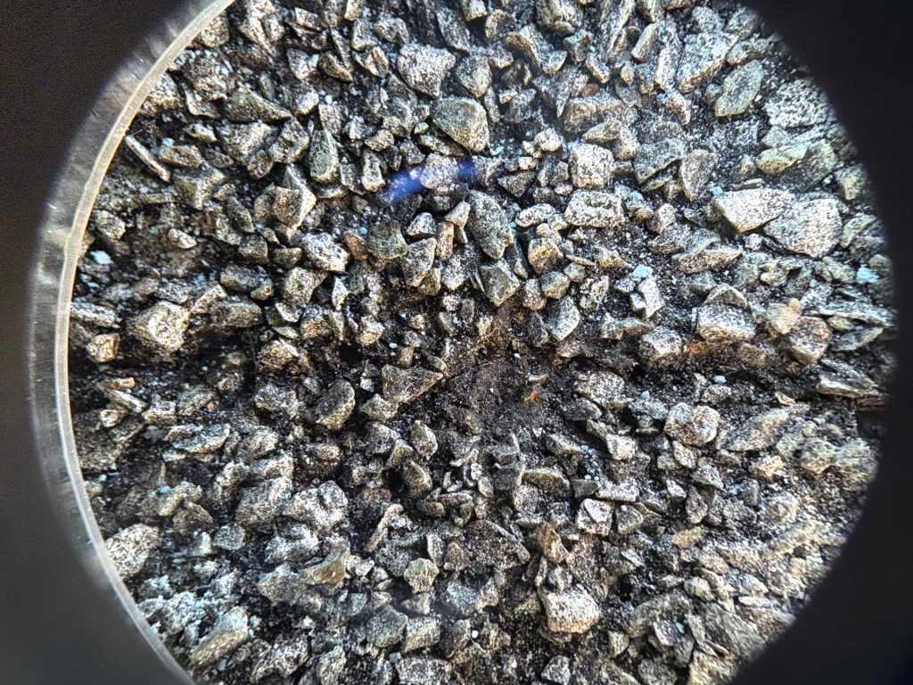 Granule Loss shown using a Lupa