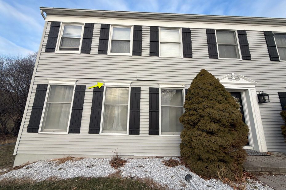 Damaged Siding